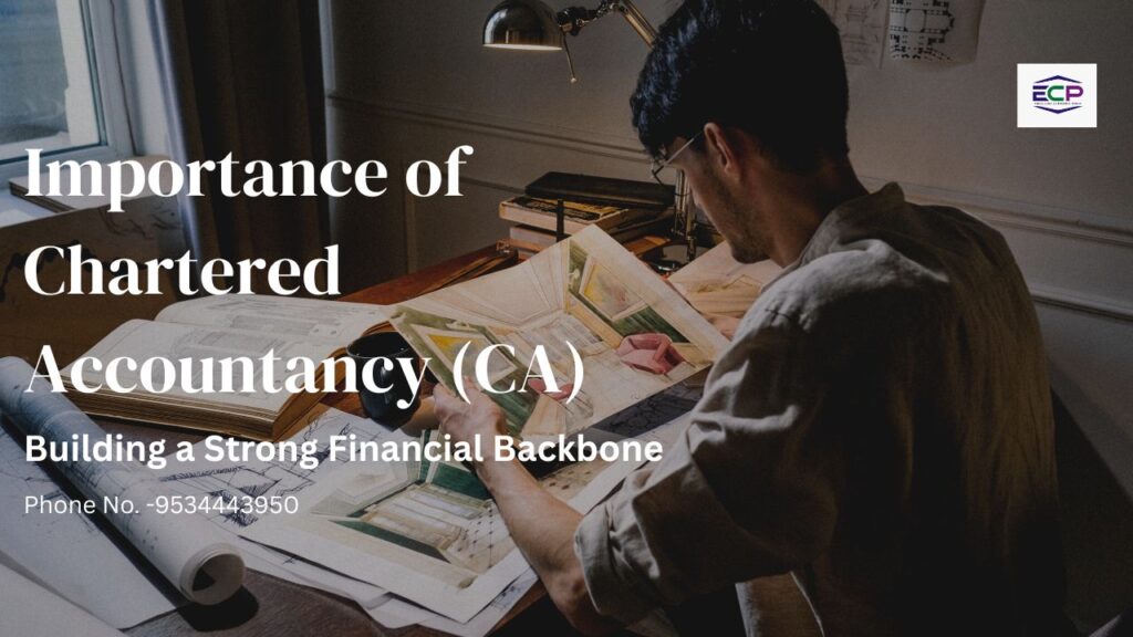 Importance of Chartered Accountancy (CA)