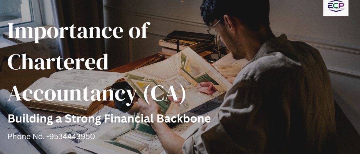 Importance of Chartered Accountancy (CA)